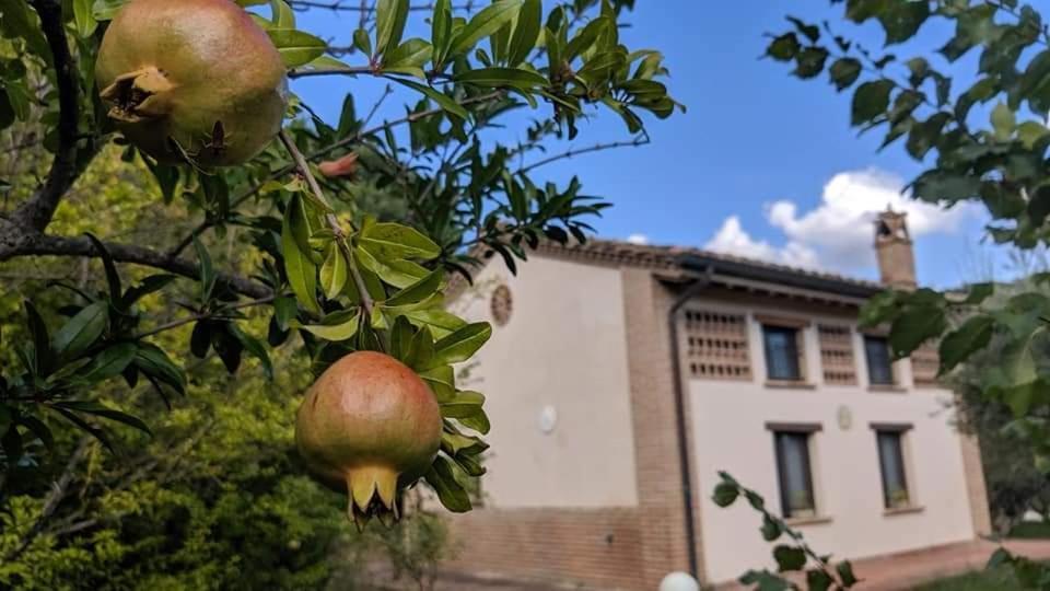 Villa La Fonte Di Montebuono à Magione Extérieur photo